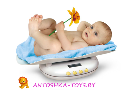 Весы Ves Electric